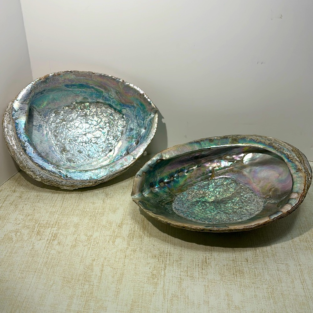 Vintage - Set of 2 Large Abolone Shell Dishes